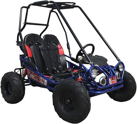 carritos de motor para niños