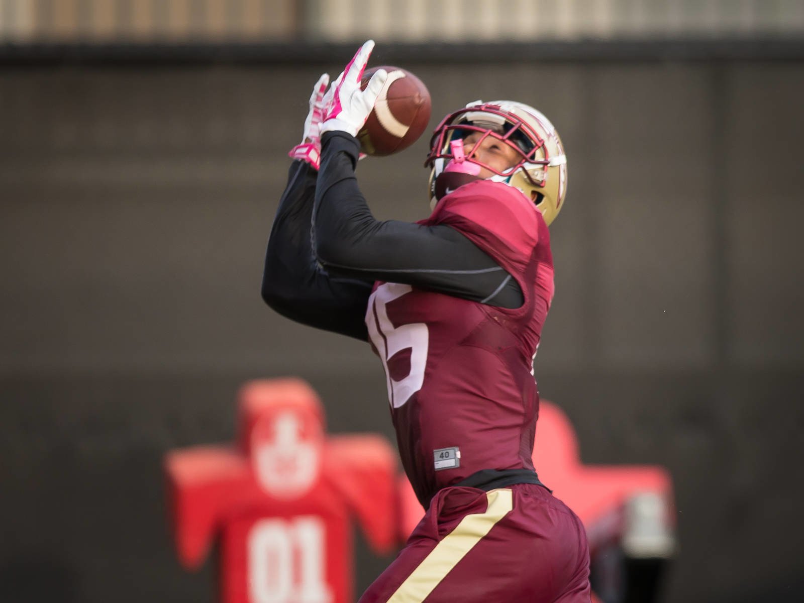 Watch A Season With Florida State Football Prime Video Watch A Season With Florida State Football Prime Video