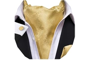 Dubulle Paisley Floral Ascot Tie for Men Self Tie Mens Cravat Tie and Pocket Square Cufflinks Wedding