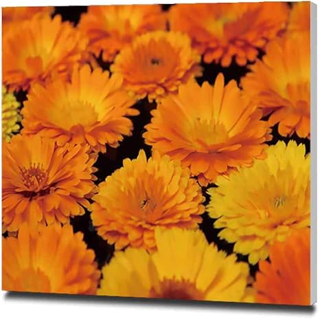 Amazon マリーゴールドの花のクローズアップ インテリア アートポスター 絵画 ポスター おしゃれ インテリア 模様替え リビング 内装 壁の絵 Arts モダン 木枠セット 50x50cm ウォールステッカー オンライン通販