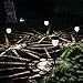 GIGALUMI Super Bright Solar Outdoor Lights 4 Pack, Waterproof Metal Automatic Path Lights with Glass Stainless Steel, Solar Yard Lights Decorative for Path, Garden, Lawn, Patio and Walkway