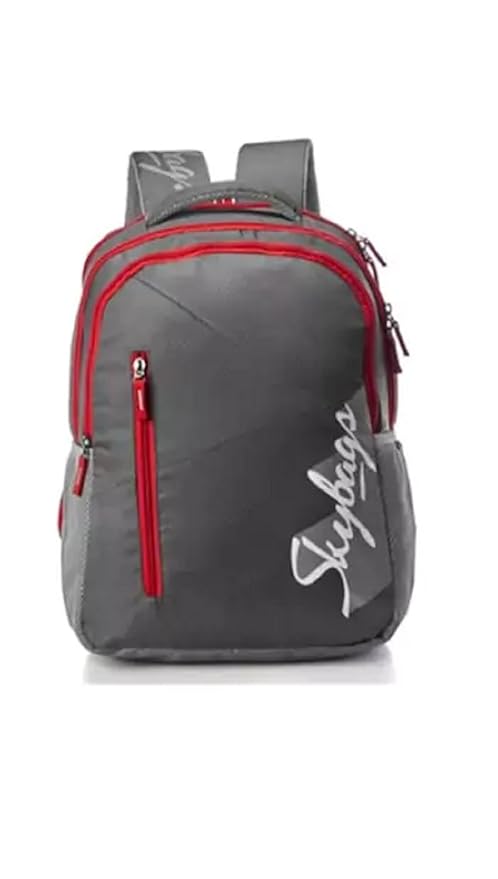 Skybags Neon New02 Backpack (Grey)