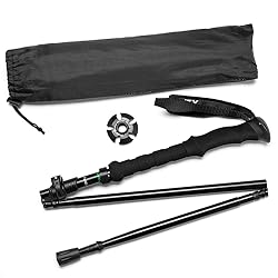 Collapsible Walking Stick for Travel, Adjustable
