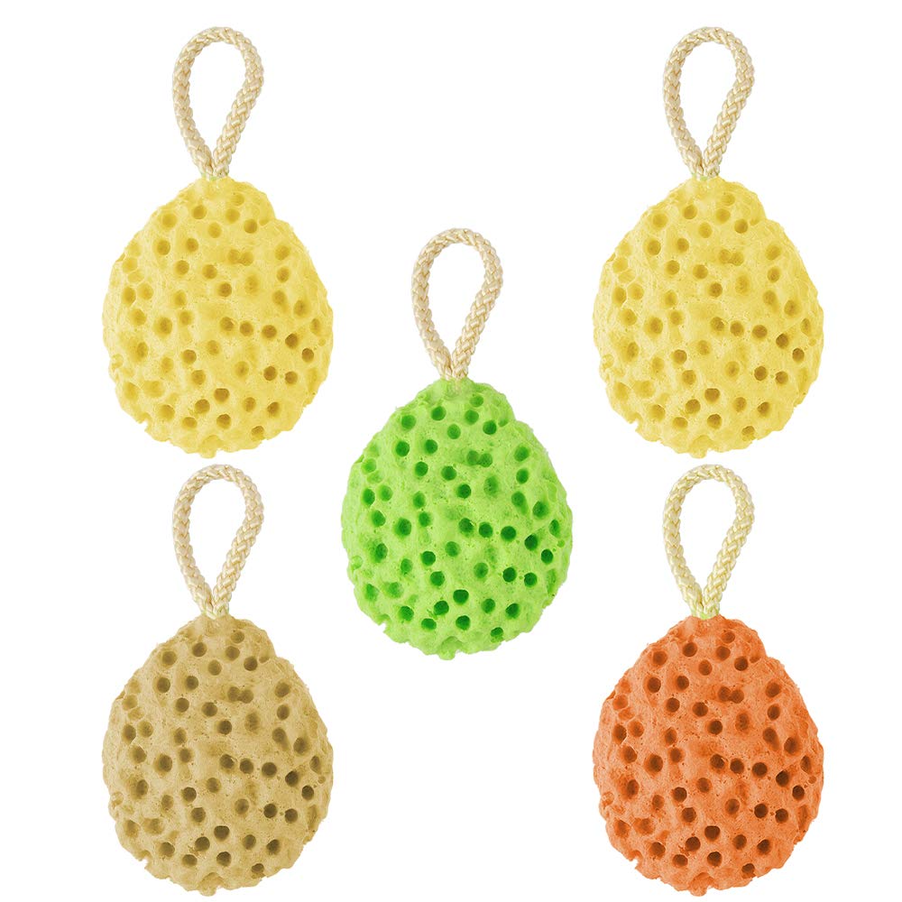Dadabig 5 PCS Hydrophilic Sponge Bath, Bath Sponges Loofahs Exfoliating Scrubber Balls Natural Sea Sponge for Baby Adult Bathroom Supplies, 4 Colors, 9.5 * 8.5 * 3.5cm