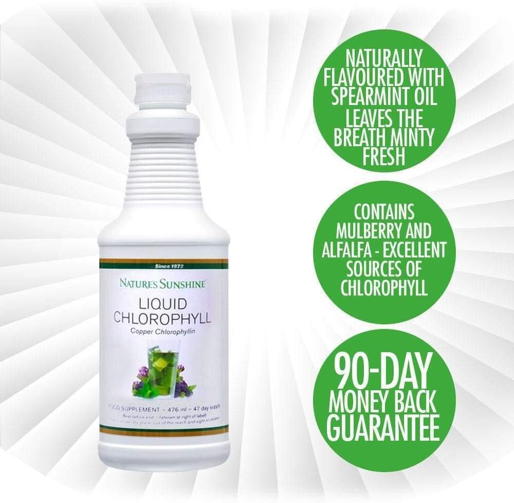 Liquid Chlorophyll with Natural Spearmint Oil Multipack (4x476 ml), 476 g (Pack of 4) - Image 5