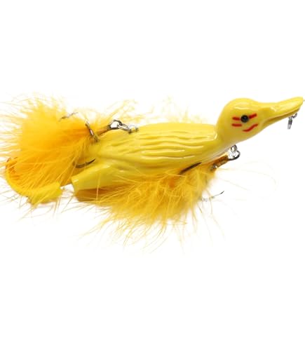 Clear Plastic PETG Storage Tubes With Black Lid - 10 Nigeria