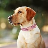 Unique Style Paws Strawberry Pink Dog Collar Small Medium Large UK Silk Fabric view 4
