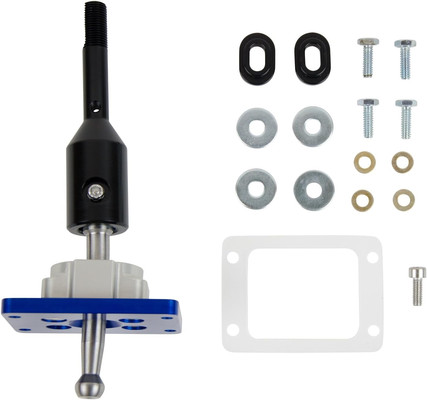 b&m little live pets