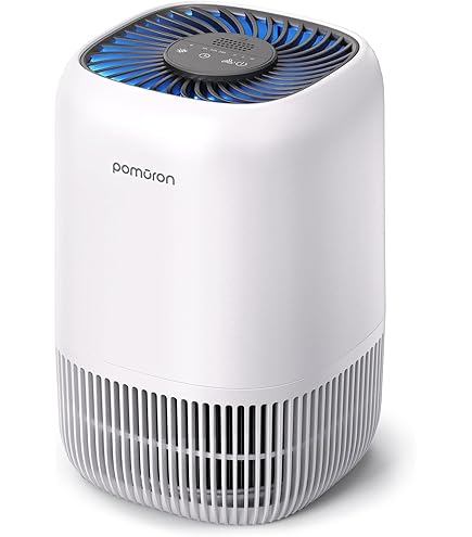 Hepa Filter Air Purifiers PUREBURG Replaceent Filter Copatible