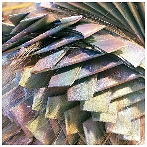 Framar Ethereal Hair Foils For Highlighting - Pop Up Hair Foil, Highlight Foils For Hair, Aluminum Foil Sheets, Salon Foils For Hair Stylist, Hair Dye Supplies, Non Slip 500 Pop Up Foil Sheets