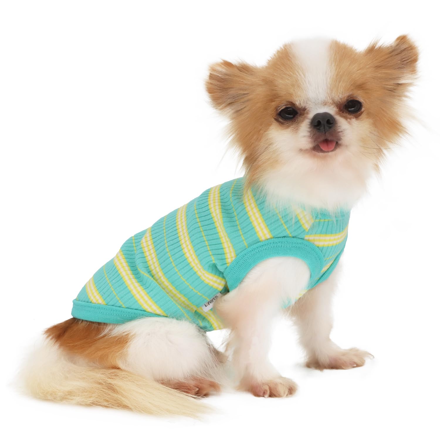 Photo 1 of LOPHIPETS 100% Cotton Rib Dog Shirt Vest for Small Dogs Teacup Chihuahua Yorkie Puppy Clothes Tank Tee-Green/S