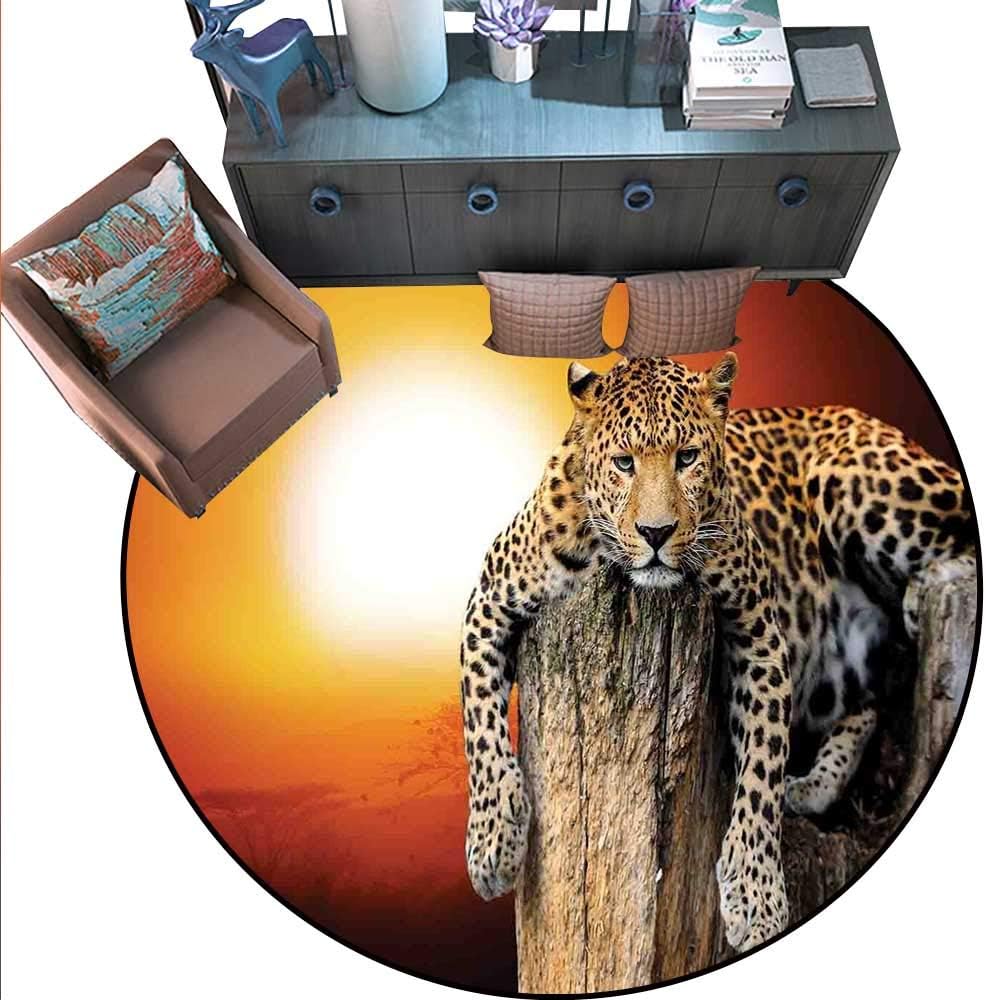 Best multi color fuzzy rugs for living room