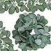 Supla 6' Long Eucalyptus Garland Faux Silver Dollar Eucalyptus Leaves Garland Greenery Garland Wedding Hanging Eucalyptus Vine Arch Swag 164 Pcs Leave in Grey Green for Backdrop Photo Booth Boho Decor