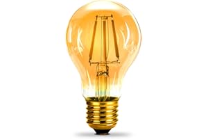 12VMONSTER BRONZE AMBER DC 12 Volt Edison Light Bulb A19 Soft White 2700k 6W LED E26 Standard Screw Medium Base Lamp 12V-36V Wide Voltage Band Camper Bus Ensuite Dinette Trailer RV Refit Vintage Motorhome