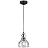 Westinghouse 6100800 One-Light Indoor Mini Pendant, Oil Rubbed Bronze Finish with Clear Seeded Glass