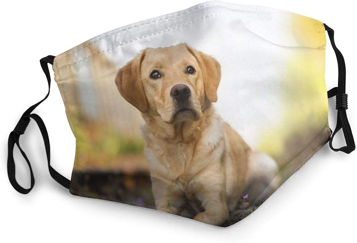 Face Masks for Adults Dust Tumble Amazing Dogs Dog Bokeh Washable
