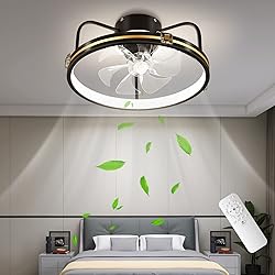 ZOGOOR 19.6'' Ceiling Fans with Lights