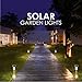avepio Solar Lights Outdoor, Solar Powered Pathway Lights Bright White, Waterproof Landscape Light for Garden,Lawn,Patio,Yard,Walkway,Driveway (12 Pack)