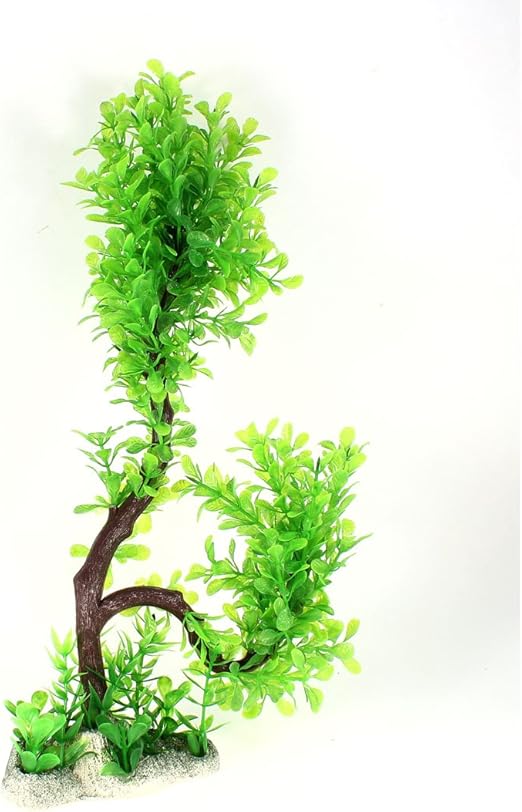 aquascaping supplies near me