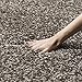 SAFAVIEH Milan Shag Collection Area Rug - 7' Square, Grey, Solid Design, Non-Shedding & Easy Care, 2-inch Thick Ideal for High Traffic Areas in Living Room, Bedroom (SG180-8080)