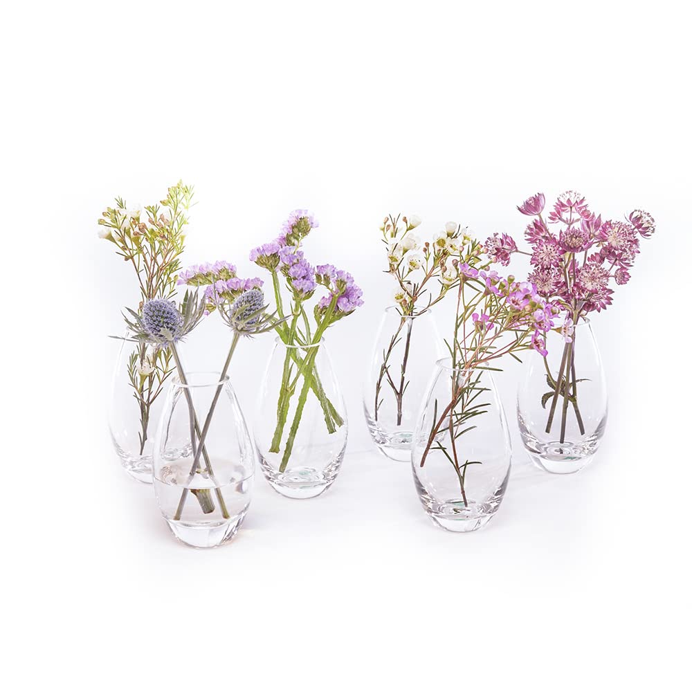 Chive ‘George’ Round Flower Vase — Cute, Beautiful Glass Vase for Flowers & House Plants — Style 5