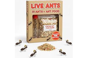NATURE GIFT STORE 1 Tube Live Ant Farm Ants Plus Ant Food-Bundle