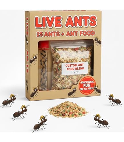 Amazon.com: Science Ant Farm Kit for Live Ants, FunKidz Ant Colony