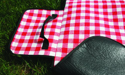 Camco 42801 Picnic Blanket (51" x 59", Red/White)