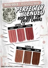 Pulp Riot High Speed Toner Rose Gold 3 oz Professional Hair Color view 3