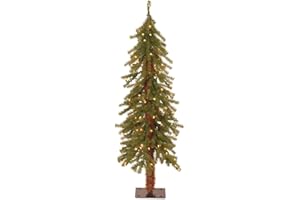 National Tree Company Pre-lit Artificial Christmas Tree | Includes Pre-strung White Lights | Hickory Cedar - 4 ft