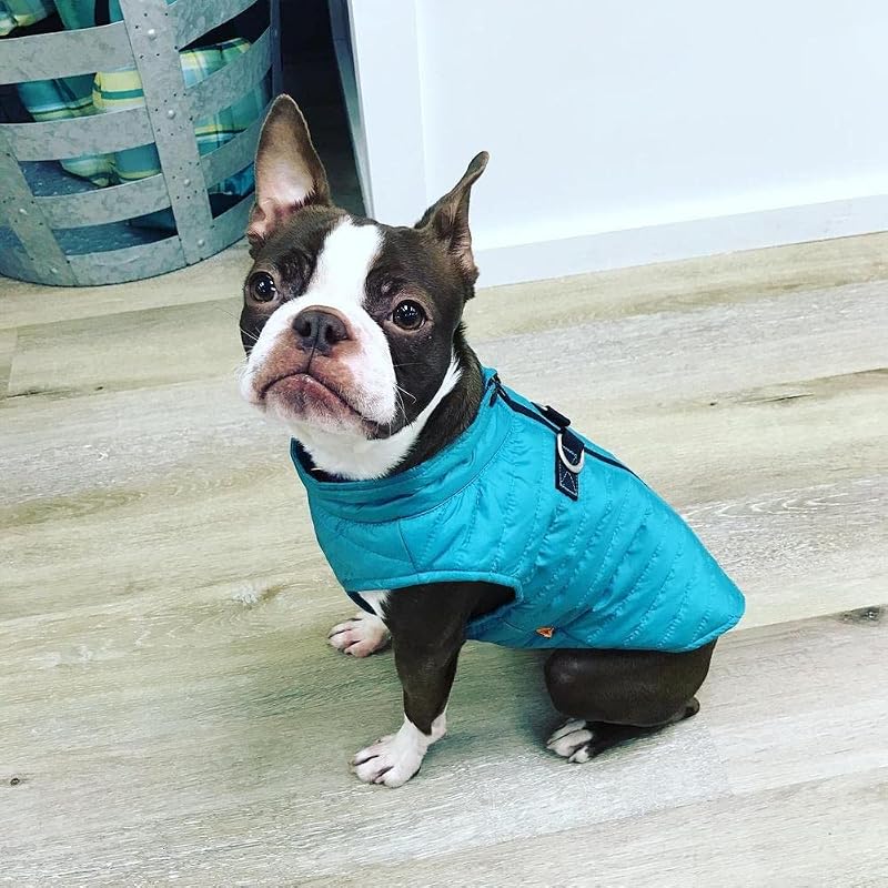 Puffer Weste Hundejacke – Türkis, Groß – Ultra Dünn Reißverschluss Windbreaker mit Dual D Ring Leine – Wasserabweisend Kleiner Hund Pullover Mantel – Hundekleidung für Kleine Hunde Junge oder