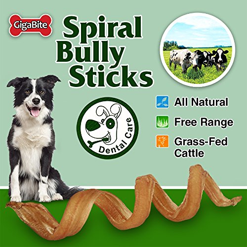 spiral bully sticks