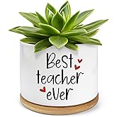 PWHINGN Best Teacher Ever Cute Succulent Cactus Planter Pots, Teacher Appreciation Planter Gifts for Women Men, Retirement Bi