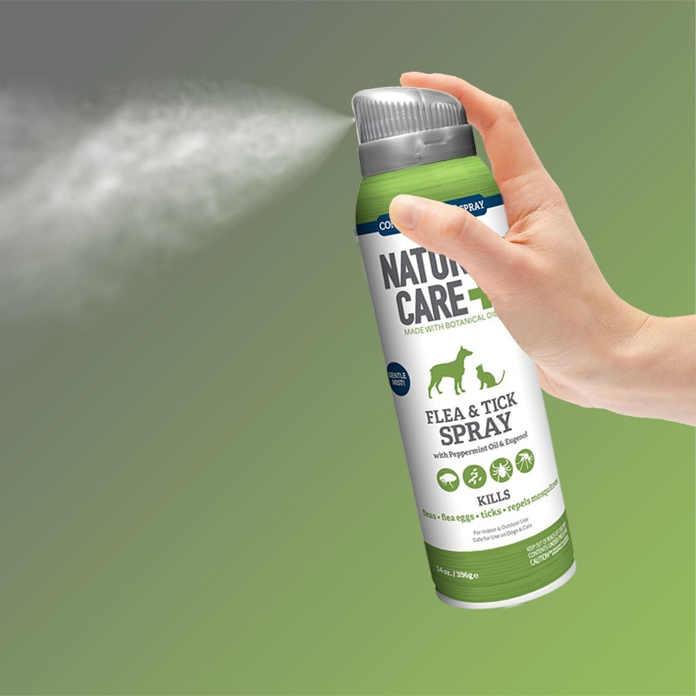 Reviews Natural Care Flea and Tick Spray for Dogs and Cats Flea