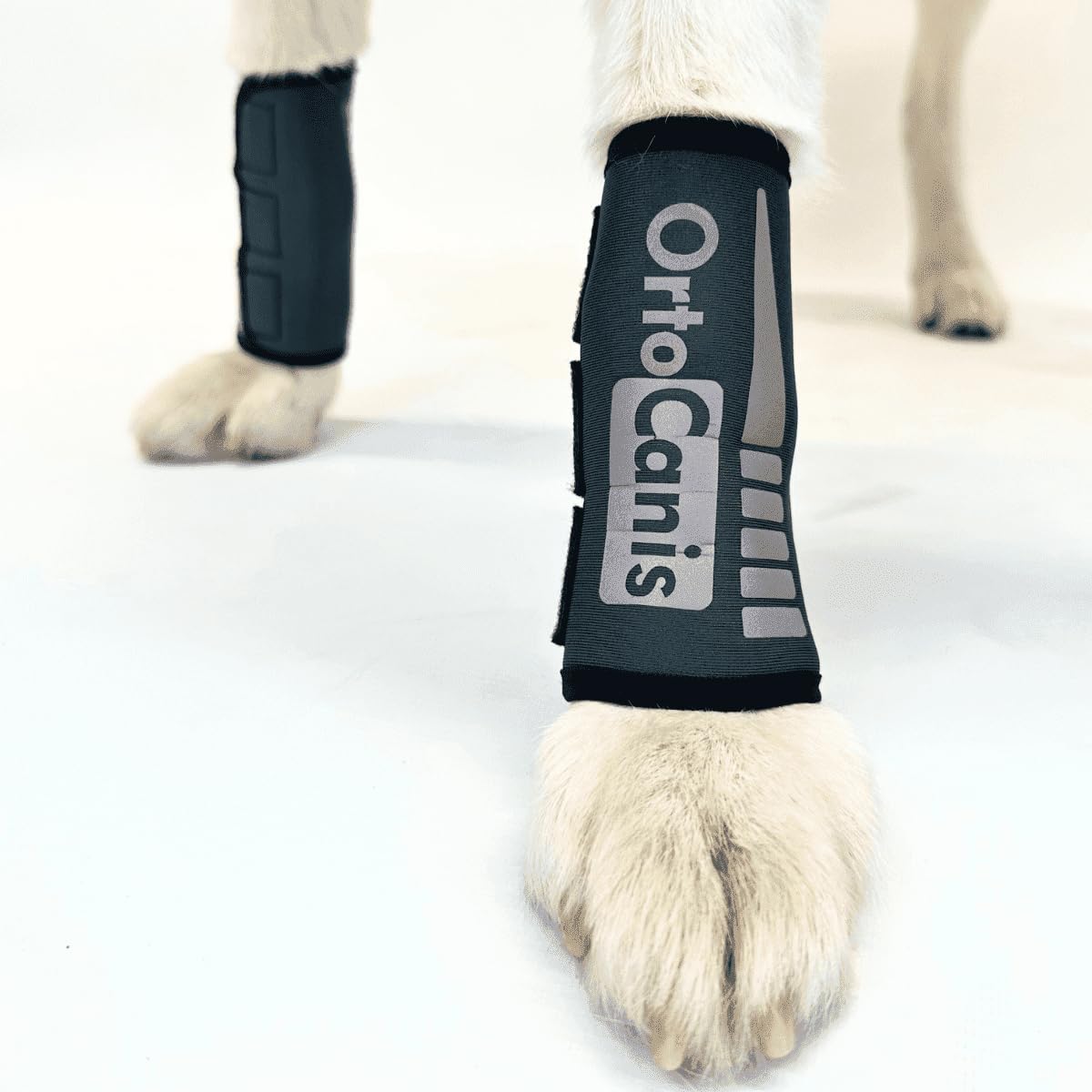 Ortocanis - Dog Front Leg Brace - Arthritis, Ligament Injuries, Tendon Injuries or Agility Dogs - Made of Neoprene ARD - Size M 14-16 cm