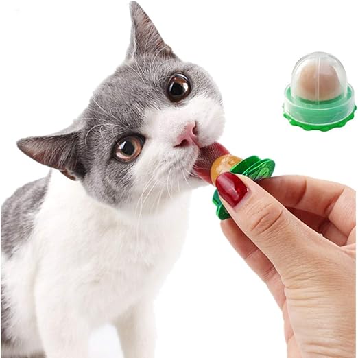 cat snack ball