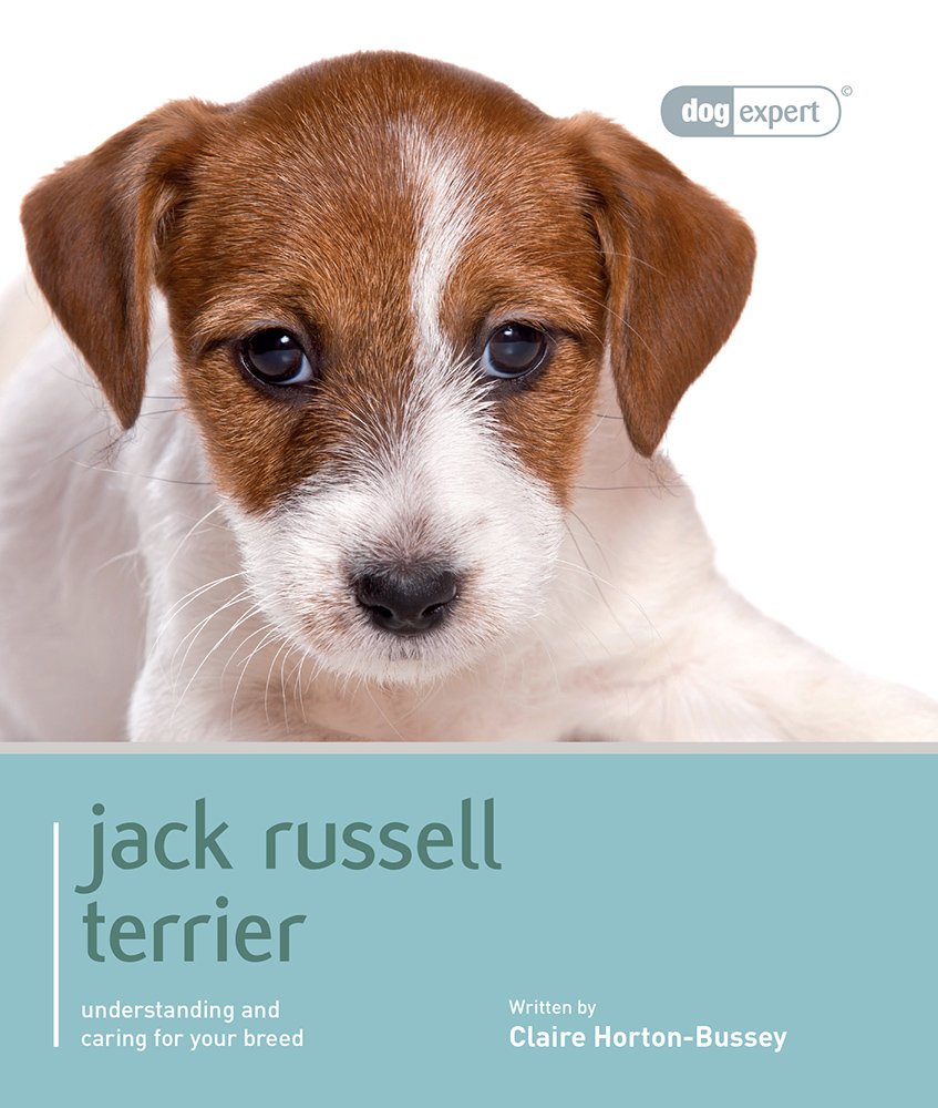 Jack Russell Terrier - Dog Expert Paperback – 1 Nov 2012