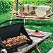 George Foreman Portable Propane Camp & Tailgate Grill, 200 Square Inches, Black