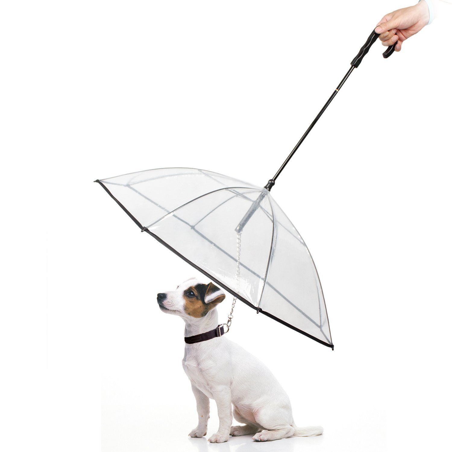 PETCUTE Dog Umbrella Transparent Umbrella for dogs in rainy days Umbrella With Leash for Small Medium Dogs&Cats