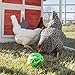 Ware Manufacturing Peck N Play Chicken Ball Toy (3 Balls)thumb 2