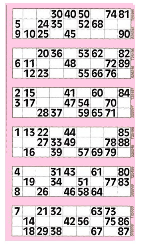 Jumbo Bingo Tickets pads 600 Tickets per pad 6 to view variety of colours (Pink)