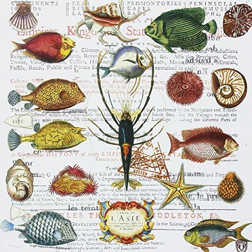 SMILEE Paper Napkins,Luncheon Party Napkins Serviettes 2-Ply 13โ x 13โ20 Ct (Marine Life)