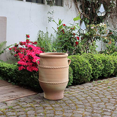 Palatina-Keramik | Terracotta Amphore | 50 cm | Pflanzkübel, Pflanzgefäß, Balkon, Garten, Terrasse Thymus 2 – Bild 3
