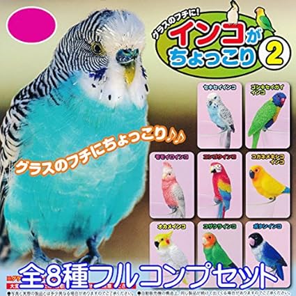 Amazon インコがちょっこり２ 鳥 フィギュア 動物 グッズ ペット 模型 ガチャ ビーム 全８種フルコンプセット カプセル玩具 おもちゃ