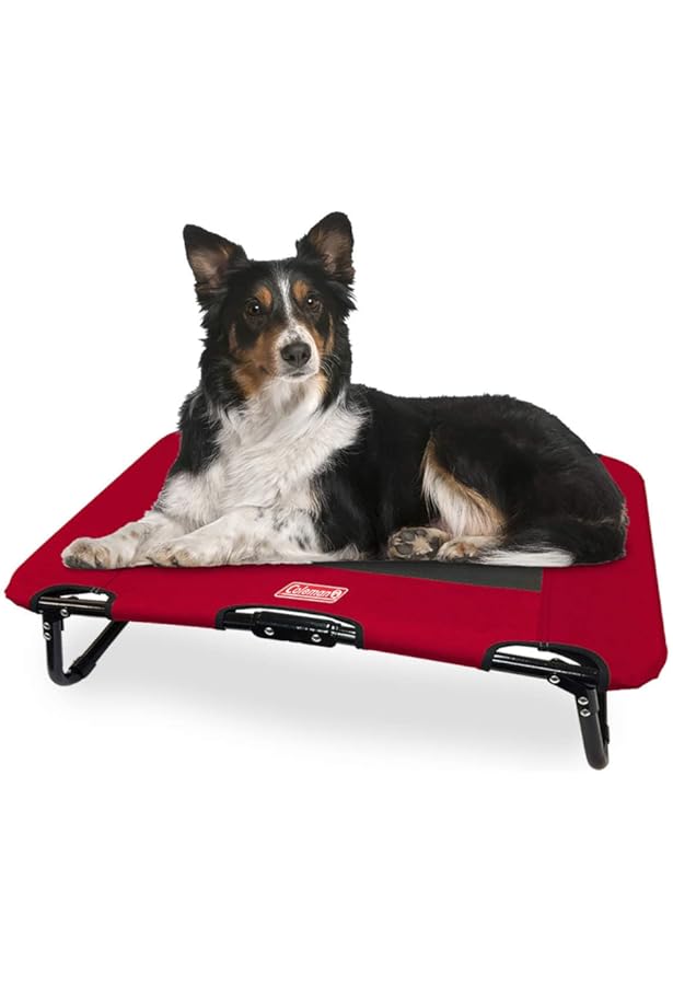 【からの】 Coleman Folding Cot For Pet Up to 50 Lbs Red