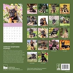 July 2025- December 2026 Wall Calendar 18 Month