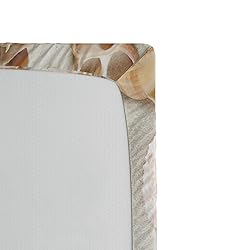 Ambesonne Shell Fitted Sheet, Assorted Seashells in