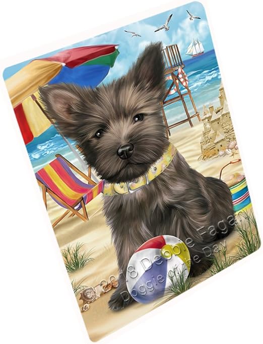 pet friendly blanket