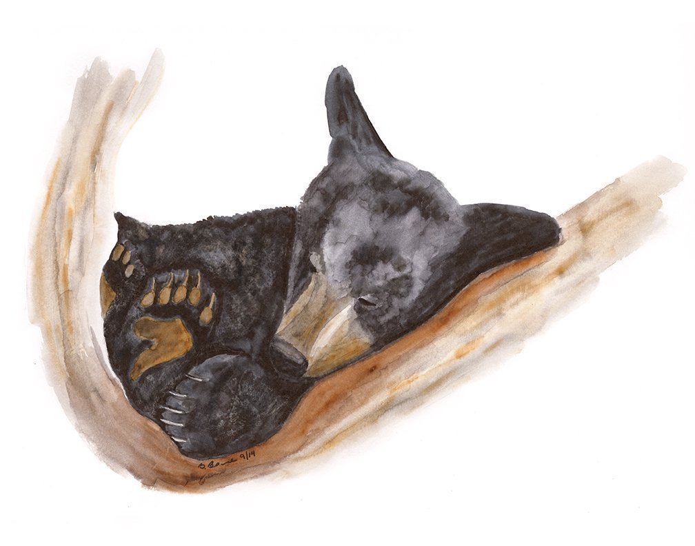 baby animal watercolor prints