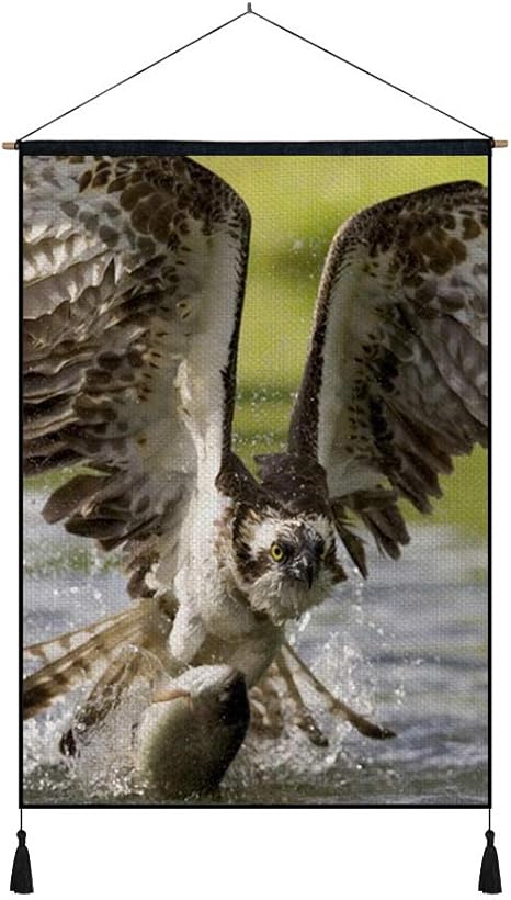 Amazon Co Jp 40cmx50cm 綿の麻 タペストリー 多機能 掛け軸 掛け物 鳥イーグルフライスイング水石 個性 掛け軸 掛け物 掛けじく ポスター インテリア 組立式 部屋飾り壁 壁飾り ホーム キッチン